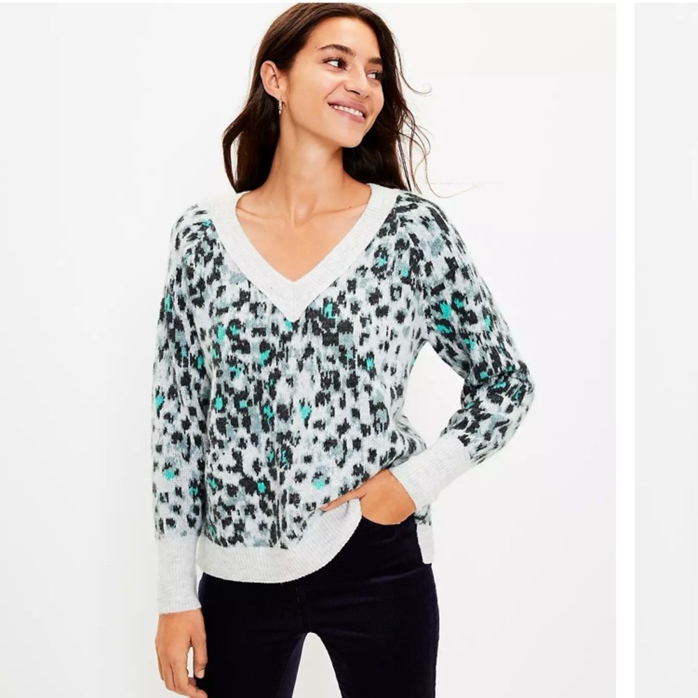 Ann Taylor LOFT Sweater Leopard Animal Print Relaxed V-Neck Raglan